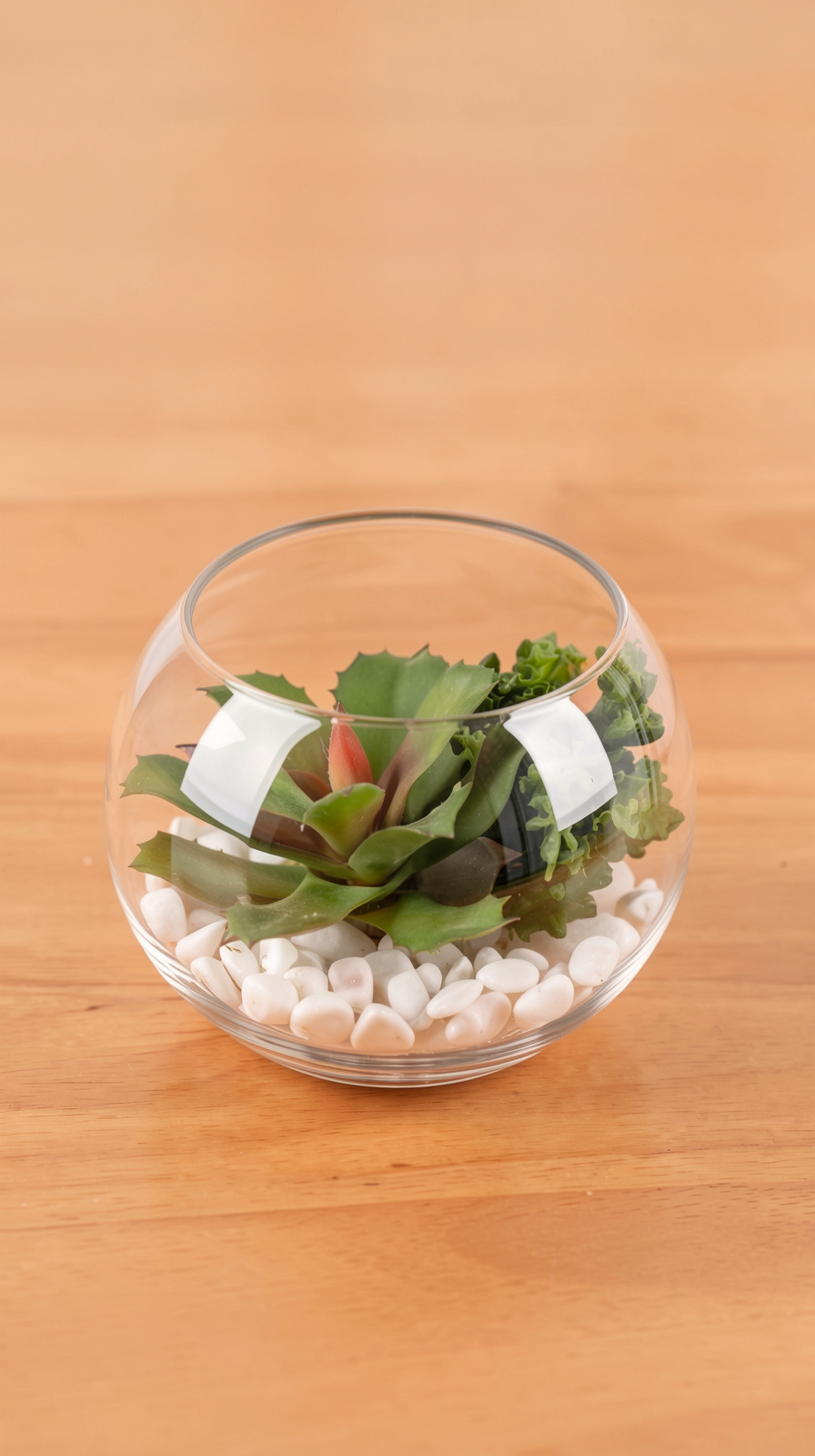 Bowl Terrarium
