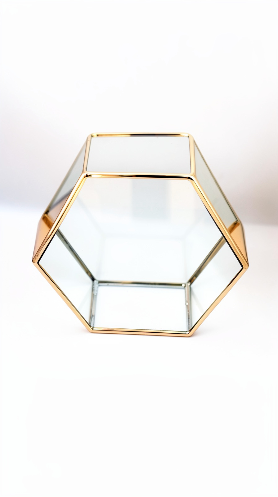 Octa Wall Terrarium