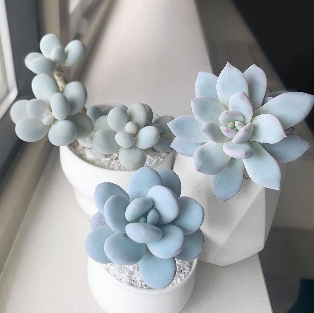 Moonstone